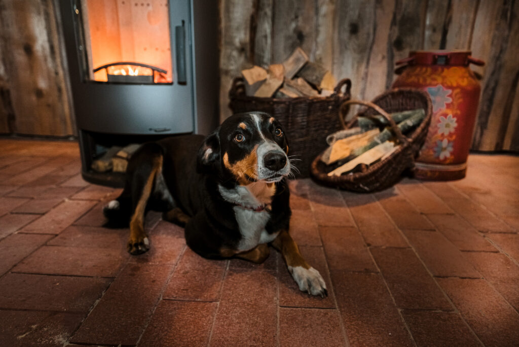 Hund liegt vom prasselnden Kaminofen mit Holzkorb in der Ferienwohnung auf Bussjans Hof.